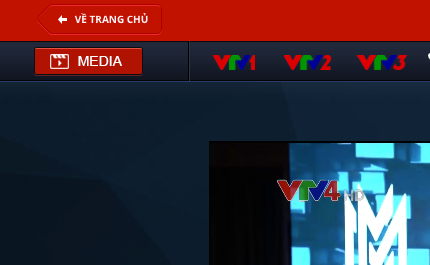 I`m on VTV4 Vietnamese News